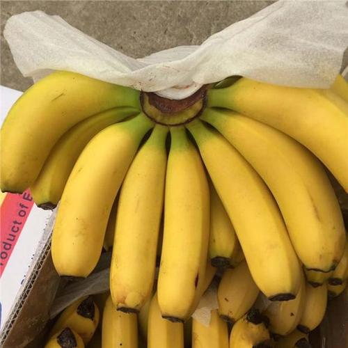 导读：多少香蕉换金香蕉”一直都是消费者所关心的问题