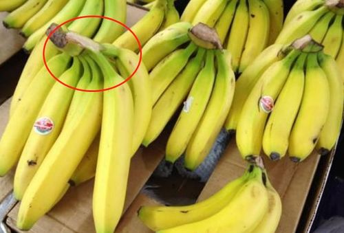导读：如果你正在寻找买不打药水香蕉的地方，本文将会给出让你买到不打药水香蕉的绝佳去处