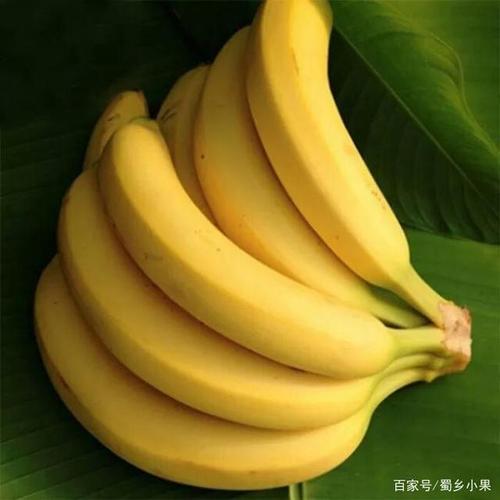 导读：本文主要讨论各个省份的香蕉的口感，通过分析比较找出哪个省产香蕉最好吃