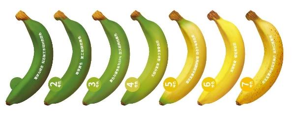 哪里的香蕉品质最好(哪里的香蕉品质最好最便宜)