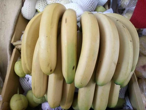 导读：近些年国产香蕉的质量及口感不断提升，越来越多的消费者选择国产香蕉作为健康的日常补充