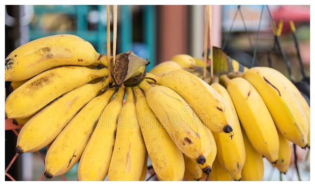 夏天香蕉可以放多久(夏天香蕉能不能放冰箱保存)