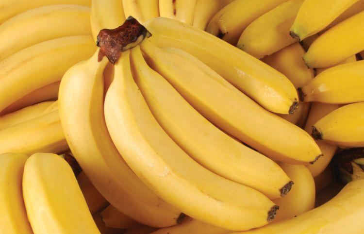 导读：有些香蕉是不可以吃的究竟哪些香蕉是不能吃的这也是一个大家都很关心的问题