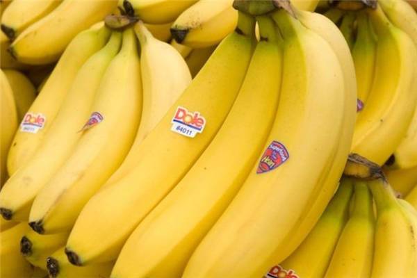 导读：本文将针对什么人不适合吃香蕉这个问题展开探讨，重点说明哪些人不应该吃香蕉，以及出现这些情况时可以采取的措施