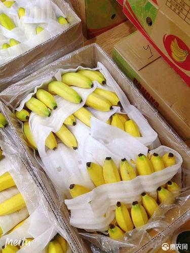 在越南买个香蕉多少钱(在越南买个香蕉多少钱一个)