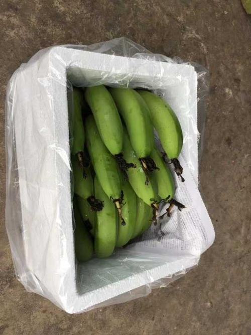 哪里买不打药水香蕉(不打药的香蕉)