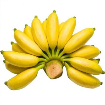 导读：要想品尝最优质的香蕉，你必须要知道哪里可以得到最好的香蕉
