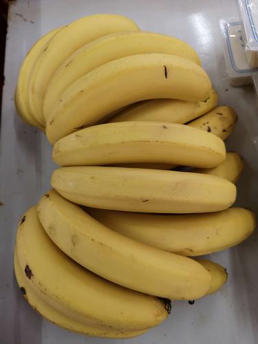 多少香蕉晒一斤干(多少香蕉能烘一斤香蕉干)