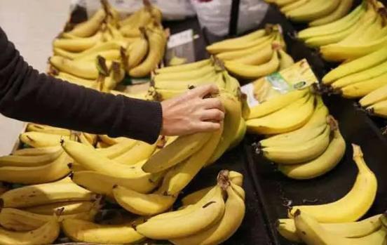 导读：本文将讨论售卖香蕉的合理罚款标准