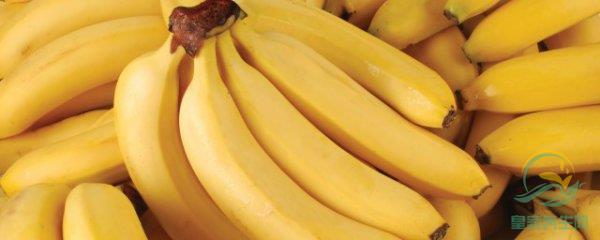 导读：每个水果都有自己独特的保存方法，香蕉也不例外